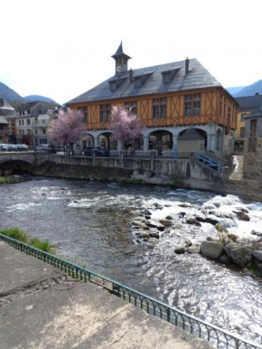 Appartement 2 à 4 personnes le Pyrénéen à Arreau carrefour des activités de montagne